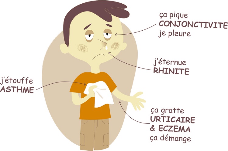 Quercétine coronavirus